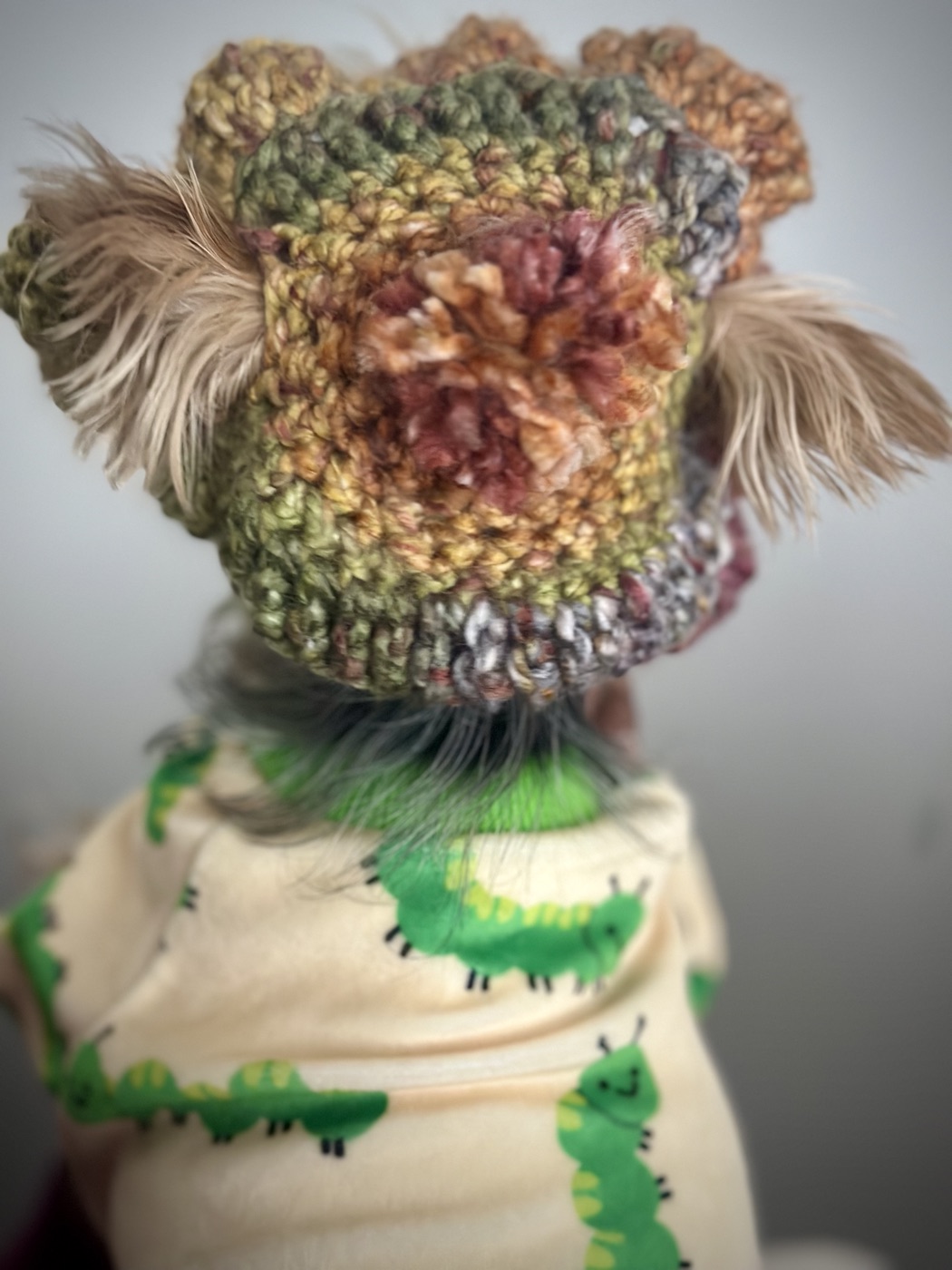 Back view of a small dog modeling Grace's autumn crochet ruffle hat